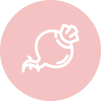 甜菜糖